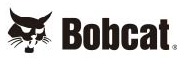 Bobcat